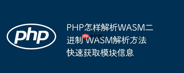 PHP怎样解析WASM二进制 WASM解析方法快速获取模块信息