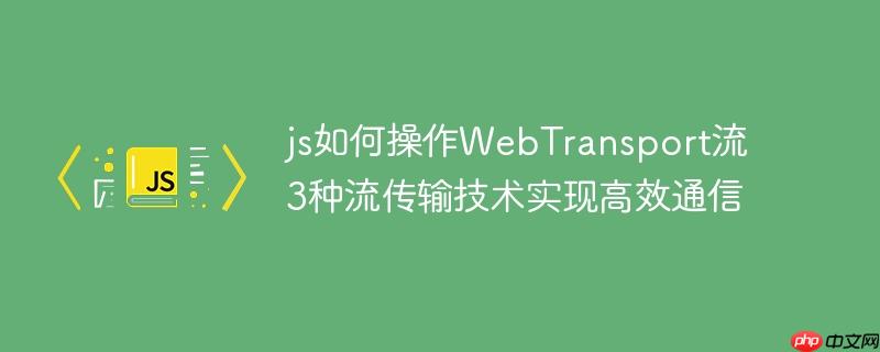 js如何操作WebTransport流 3种流传输技术实现高效通信