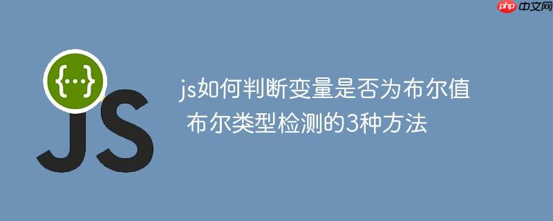 js如何判断变量是否为布尔值 布尔类型检测的3种方法