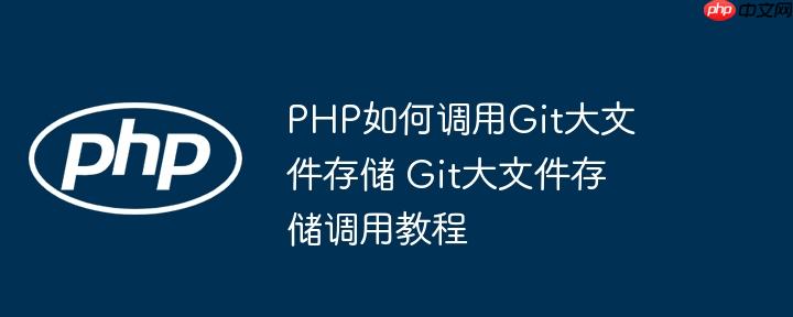 PHP如何调用Git大文件存储 Git大文件存储调用教程