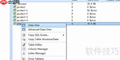 DB Master生成数据库表的HTML5报表方法