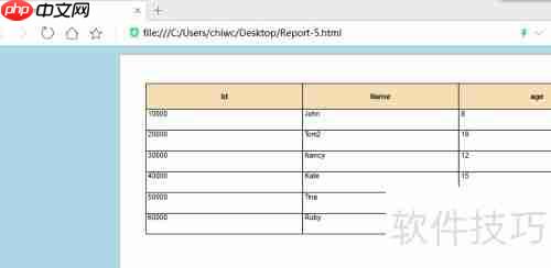 DB Master生成数据库表的HTML5报表方法