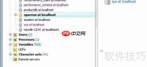 Maestro导出HTML格式数据库表报告教程