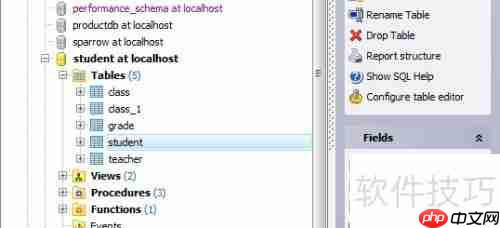Maestro导出HTML格式数据库表报告教程
