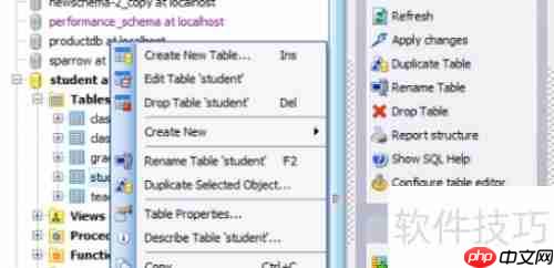 Maestro导出HTML格式数据库表报告教程