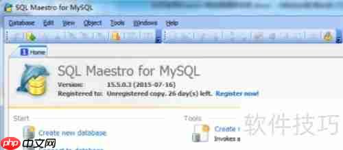 Maestro导出HTML格式数据库表报告教程