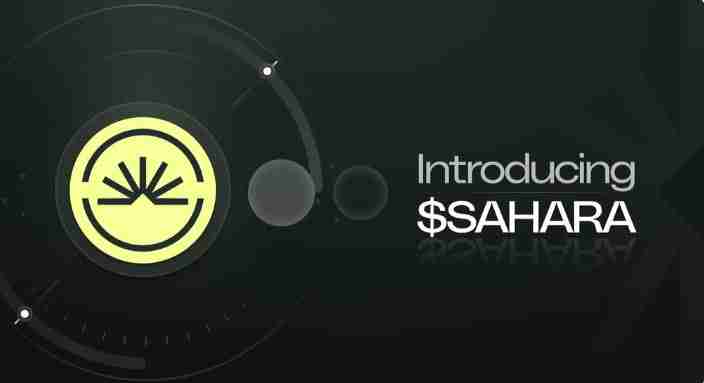 什么是Sahara AI代币(SAHARA)？SAHARA代币分配及解锁时间表介绍