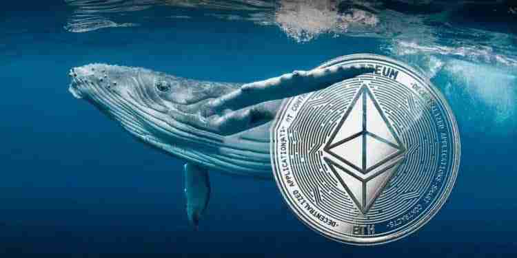 现在应该购买以太坊吗？以太坊是一个好的投资吗？