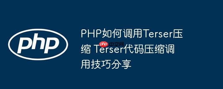 PHP如何调用Terser压缩 Terser代码压缩调用技巧分享
