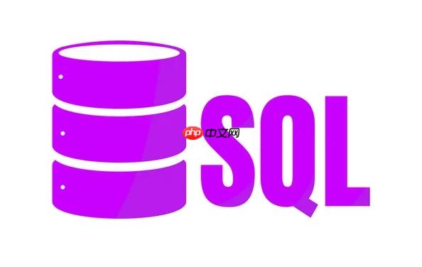 SQL数据类型选择指南 SQL字段类型设置完整教程