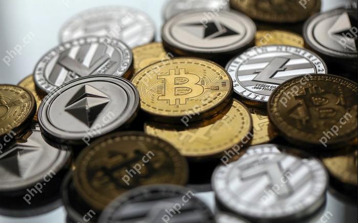 山寨币暴涨前信号：如何提前发现机会？