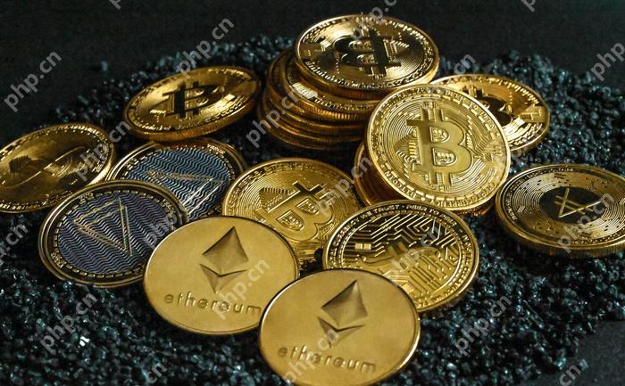 山寨币基本面分析法：如何评估项目价值？ - 创想鸟