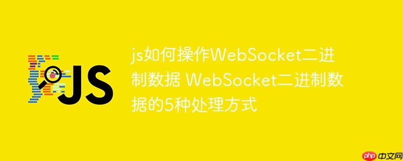 js如何操作WebSocket二进制数据 WebSocket二进制数据的5种处理方式