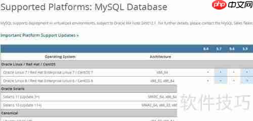 Windows2003系统下MySQL安装小结