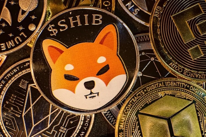 柴犬币（SHIB）社区狂热背后：是泡沫还是价值回归？ - 创想鸟
