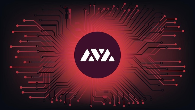 Avalanche（AVAX）生态爆发！哪些项目值得提前布局？ - 创想鸟