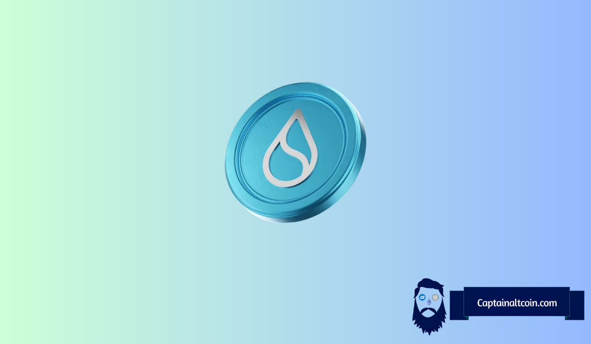 SUI的趋势激增：解码炒作背后的原因