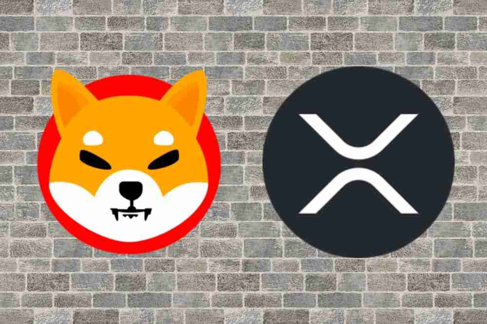 NBA传奇人物Scottie Pippen的加密精选：Shib和XRP聚焦