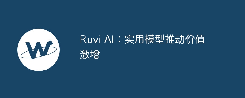 Ruvi AI：实用模型推动价值激增