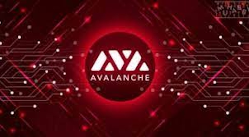 Avalanche（AVAX）子网生态爆发，哪些项目最具潜力？ - 创想鸟