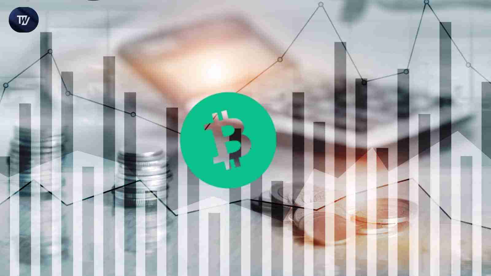 比特币现金（BCH）：爆炸性的动作还是假黎明？