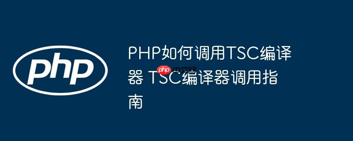 PHP如何调用TSC编译器 TSC编译器调用指南