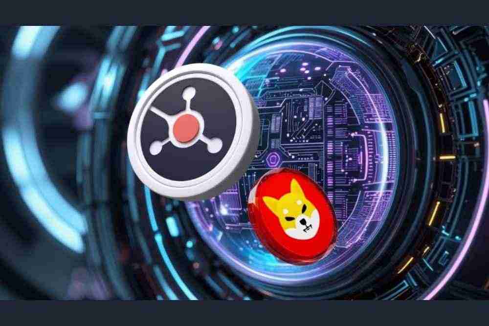 Shiba Inu，Ruvi AI和投资：导航加密货币景观