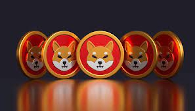 SHIB双顶形态预警！技术面指向归零风险还是黄金坑？ - 创想鸟