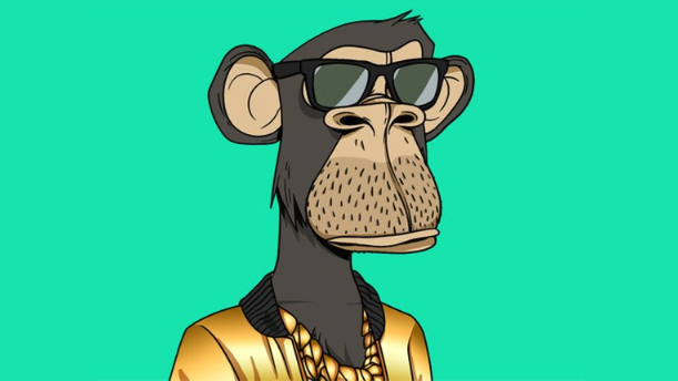 NFT代币投资潜力大揭秘，获取方式全知晓！ - 创想鸟