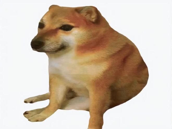 什么是elon doge？elon doge是不是马斯克新的新模因币 - 创想鸟