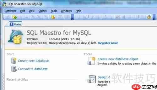 Maestro生成PDF数据库报告的方法