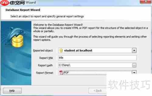 Maestro生成PDF数据库报告的方法