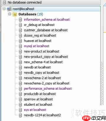 Maestro生成PDF数据库报告的方法