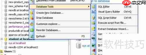 Maestro生成PDF数据库报告的方法