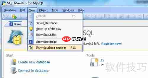 Maestro生成PDF数据库报告的方法