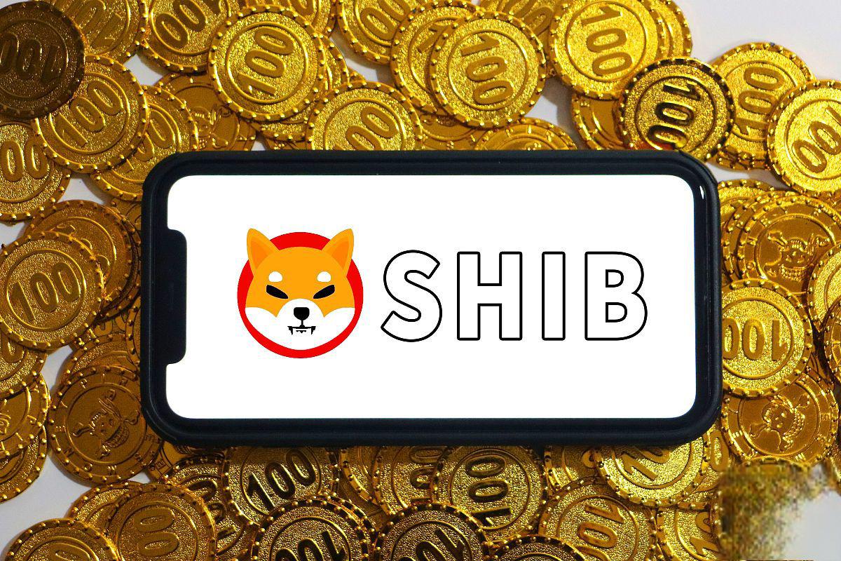 山寨币市场怎么玩 - 创想鸟