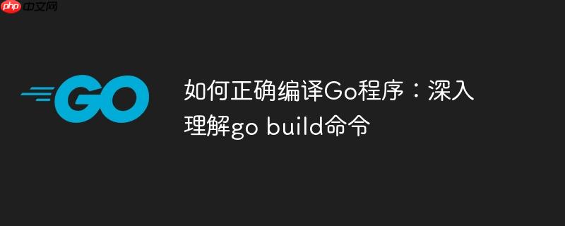如何正确编译Go程序：深入理解go build命令
