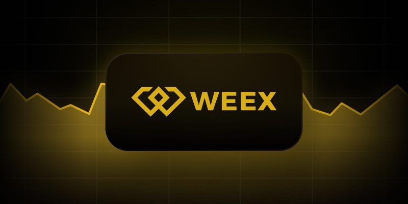 weex交易所app  weex交易所安装入口 - 创想鸟
