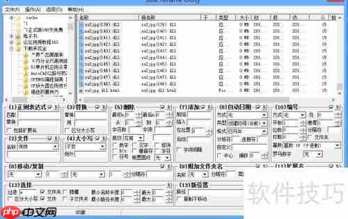 学会这招，轻松实现文件批量重命名！