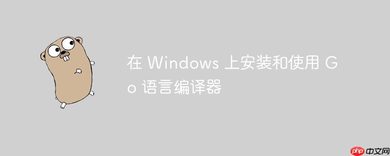 在 Windows 上安装和使用 Go 语言编译器