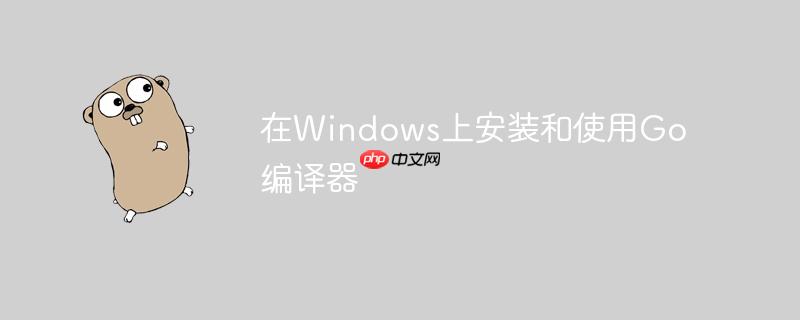 在Windows上安装和使用Go编译器