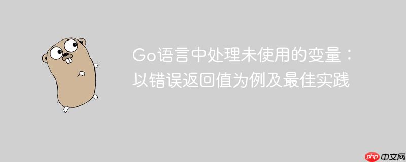 Go语言中处理未使用的变量：以错误返回值为例及最佳实践