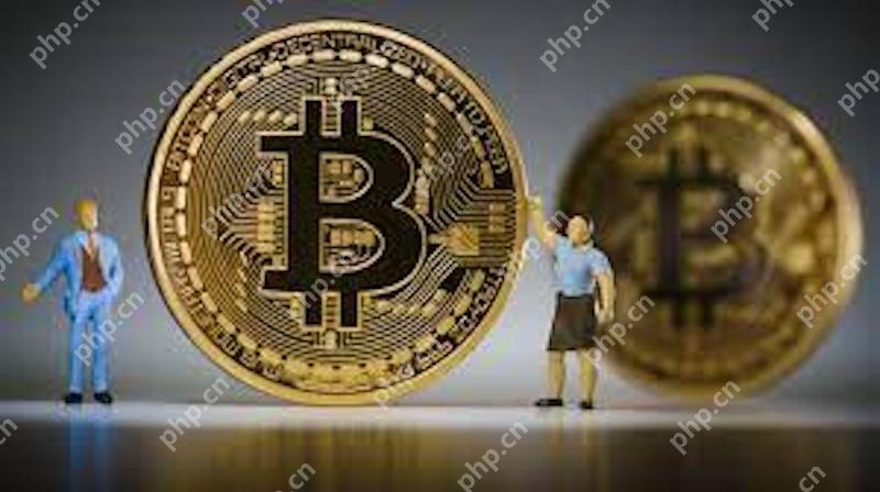 中东富豪最爱投资什么币  石油资金涌入加密货币市场BNB和BTC成机构首选 - 创想鸟