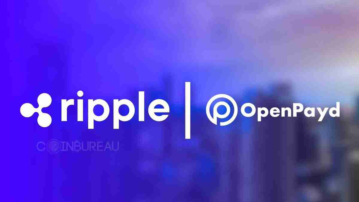 阿米娜银行、瑞波币与RLUSD：机构采用加密货币的新时代