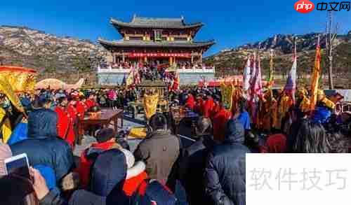 旅游市场调研：方法与步骤解析