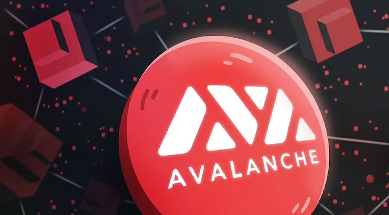 老韭菜血泪总结！【AVAX/BNB】波段操作5大致命误区 - 创想鸟