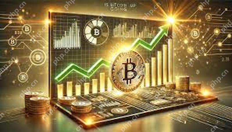 2025最佳货币交易平台推荐 新手必看！高收益低风险的数字货币交易指南 - 创想鸟