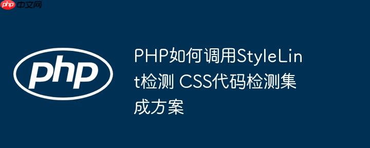 PHP如何调用StyleLint检测 CSS代码检测集成方案