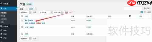 WordPress发表与删除博文教程