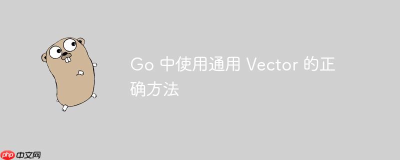 Go 中使用通用 Vector 的正确方法